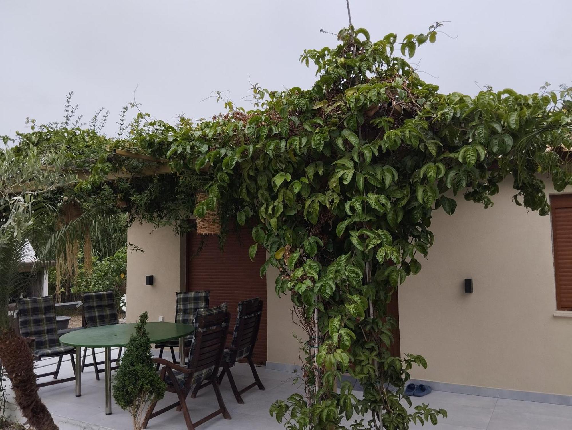 Landhaus Oasis House In Filerimos Ialysos (Rhodes)